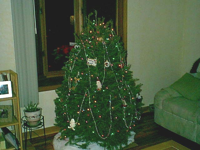 THE TREE