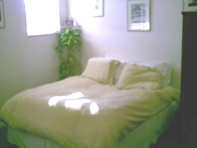 The Bed